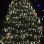 Gallipolis in Lights