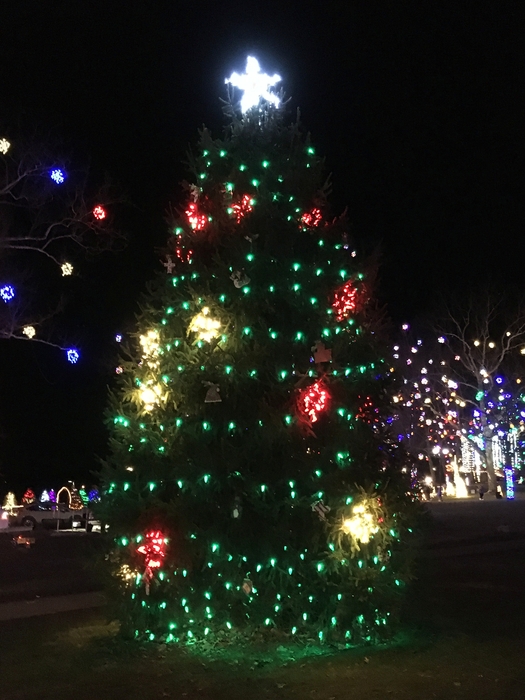 Gallipolis in Lights