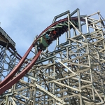 Twisted Timbers