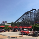 Twisted Timbers