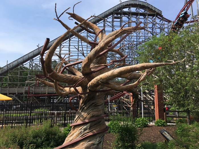 Twisted Timbers