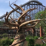 Twisted Timbers