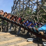 Twisted Timbers