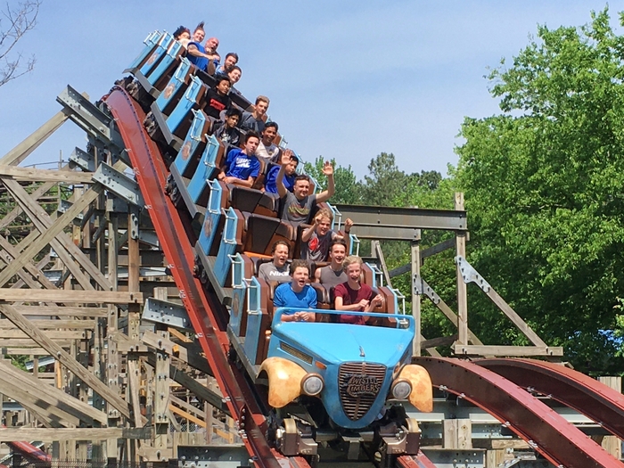 Twisted Timbers