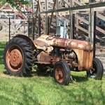 Twisted Timbers