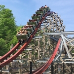 Twisted Timbers