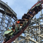 Twisted Timbers