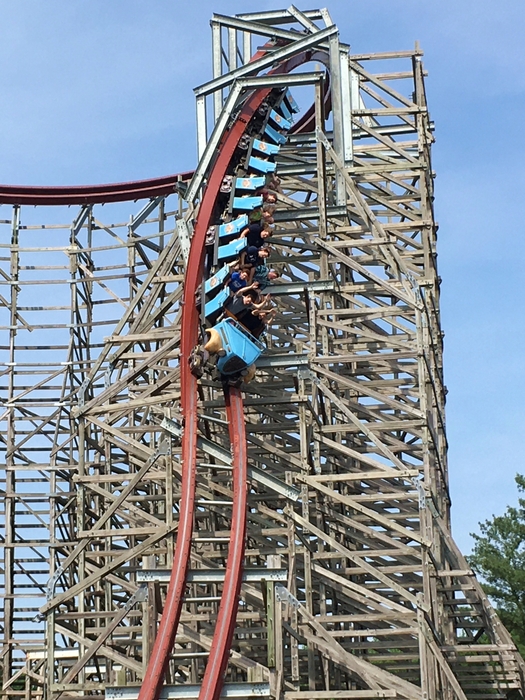 Twisted Timbers