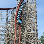 Twisted Timbers