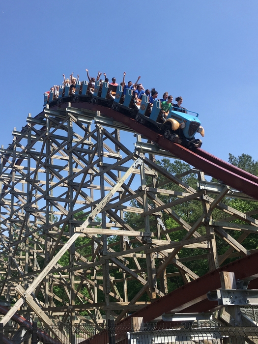 Twisted Timbers