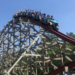 Twisted Timbers