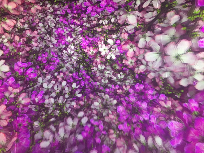Pixelbloom
