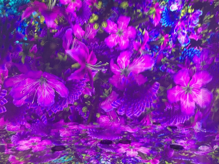 Pixelbloom