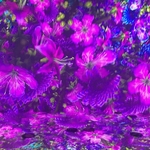 Pixelbloom