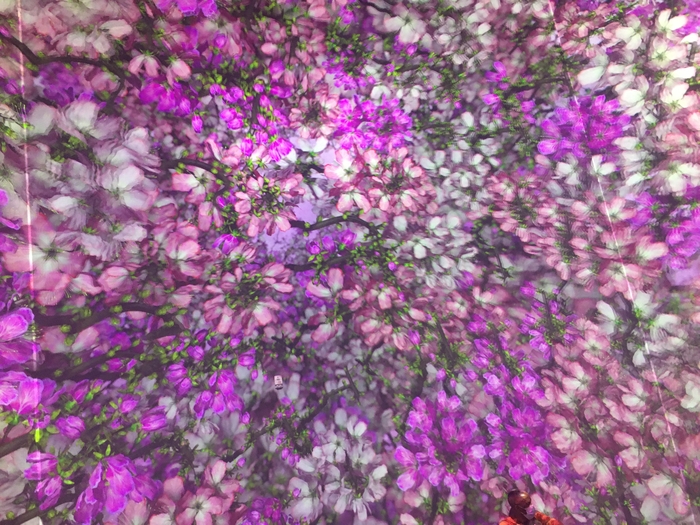 Pixelbloom