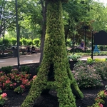 Tower Gardens