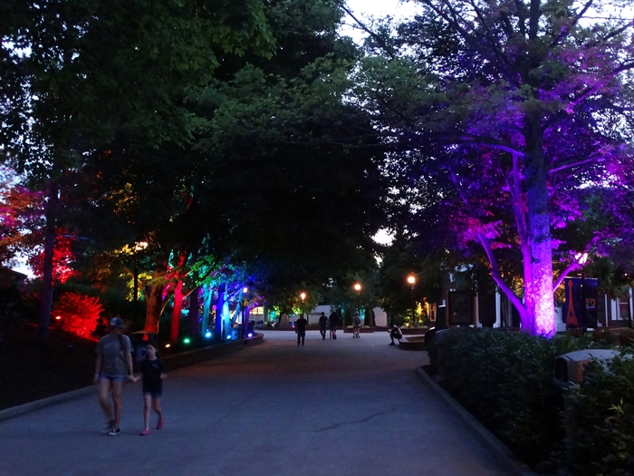 Kings Island