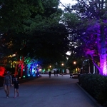 Kings Island