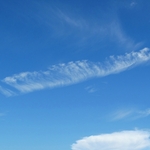 Assateague Island