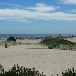 Assateague Island