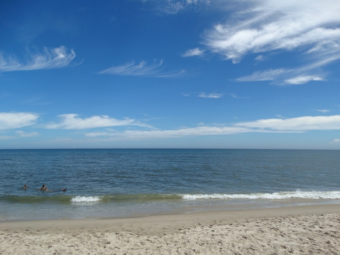 Assateague Island