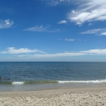 Assateague Island