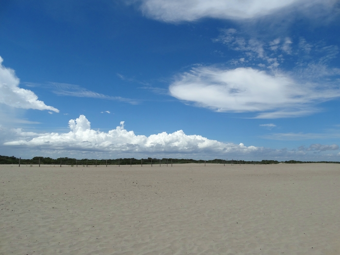Assateague Island
