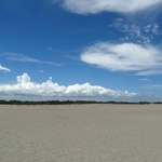 Assateague Island