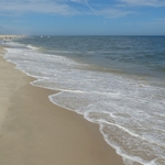 Assateague Island