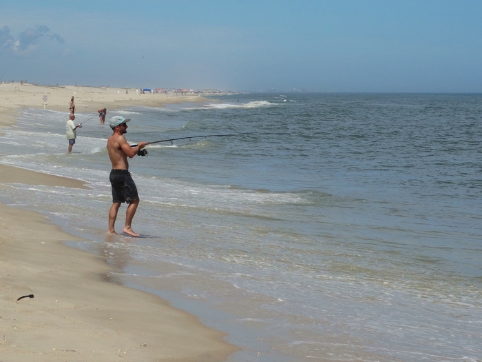 Assateague Island