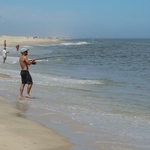 Assateague Island