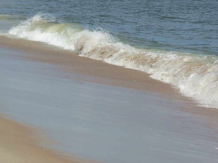 Assateague Island