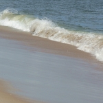Assateague Island