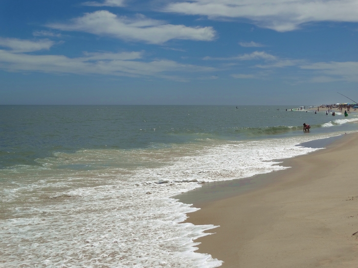 Assateague Island