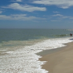 Assateague Island