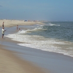 Assateague Island