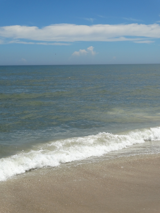 Assateague Island