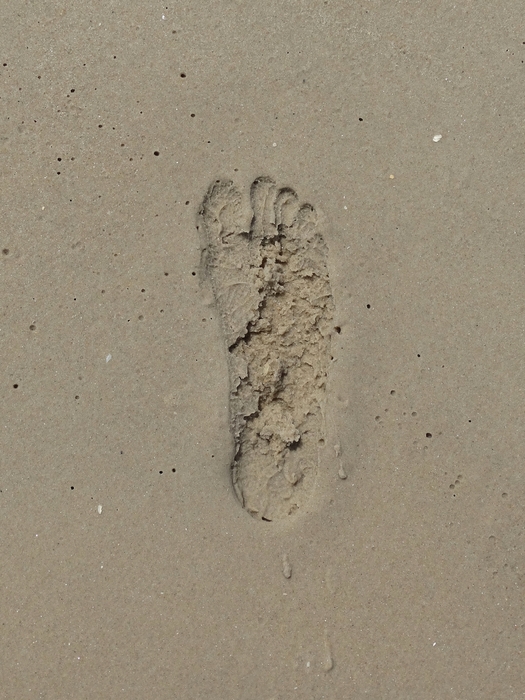 My Footprint