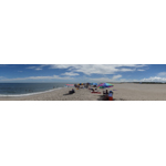 Assateague Island