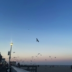 Ocean City