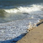 Ocean City