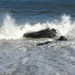 Ocean City