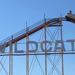Wildcat