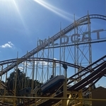 Wildcat