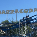 Barracuda