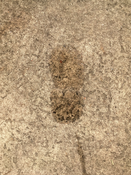 My Footprint