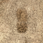 My Footprint