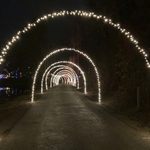 Alley Park