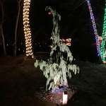 Alley Park