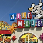 Wild Mouse